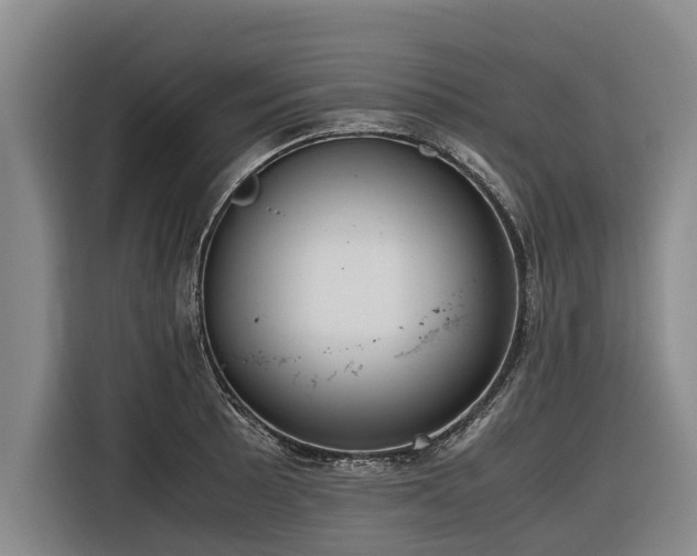 X0000116601089200912111109