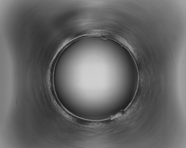 X0000116601091200912111109