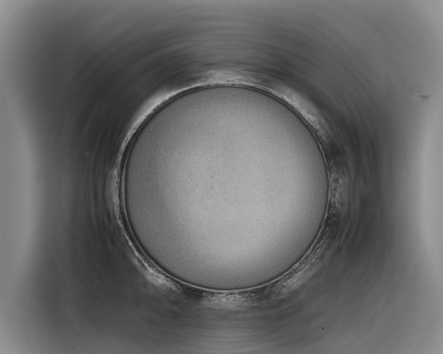 X0000116601094200912111109