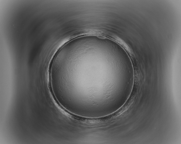 X0000116601095200912111109