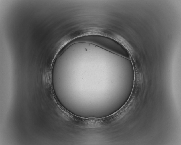 X0000116601097200912111109