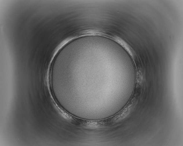 X0000116601098200912111109