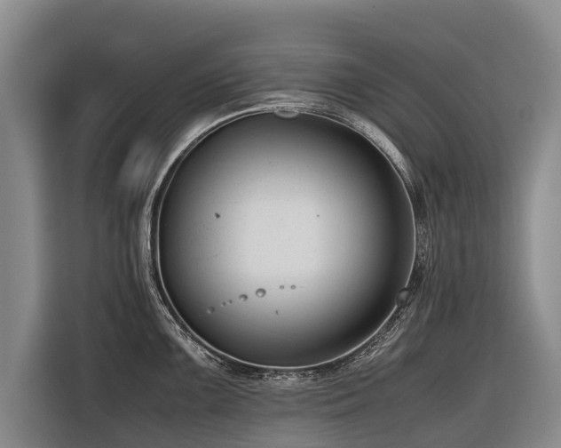 X0000116601099200912111109