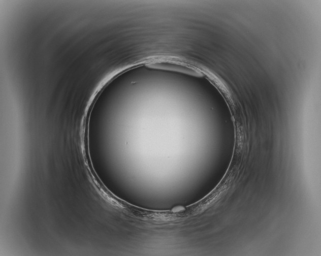 X0000116601102200912111109