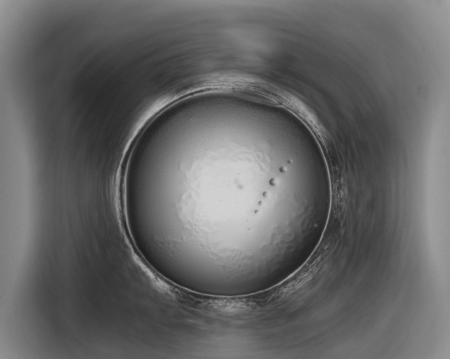X0000116601103200912111109