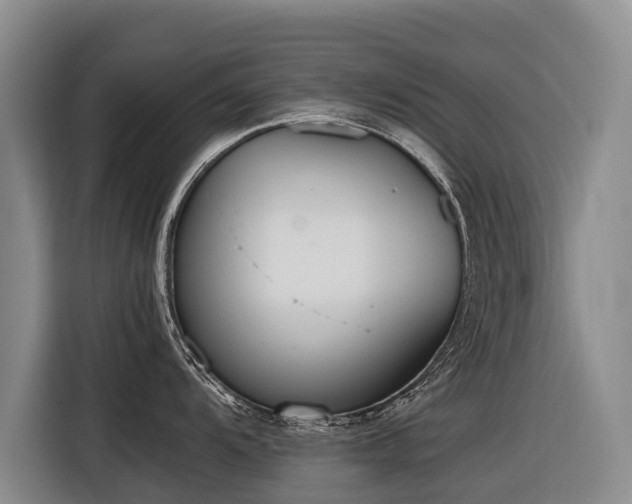 X0000116601104200912111109