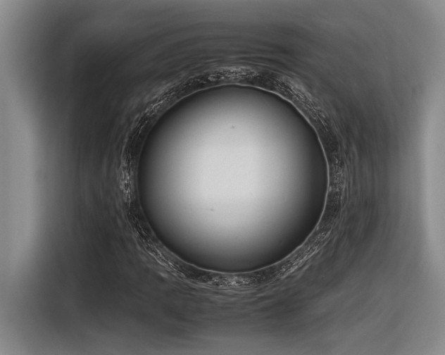 X0000116601109200912111108