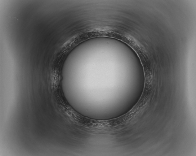 X0000116601110200912111108