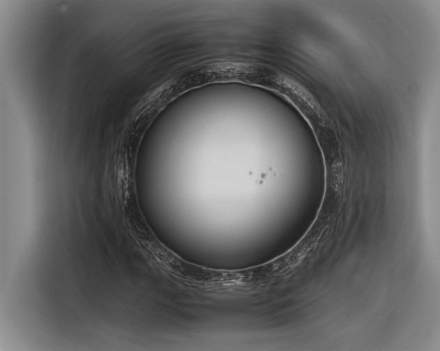 X0000116601111200912111108