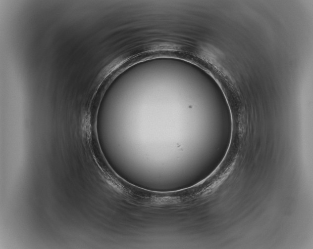 X0000116601113200912111108