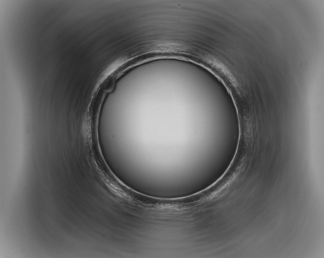 X0000116601114200912111108