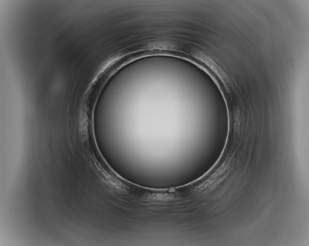 X0000116601115200912111108