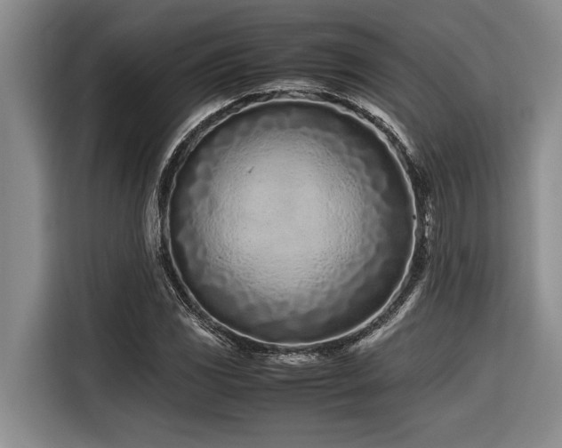X0000116601117200912111108