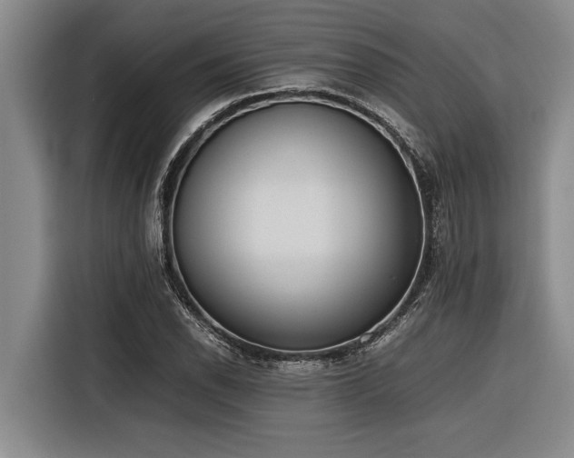 X0000116601118200912111108