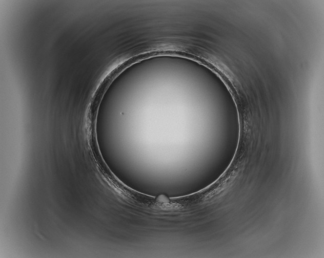 X0000116601119200912111108