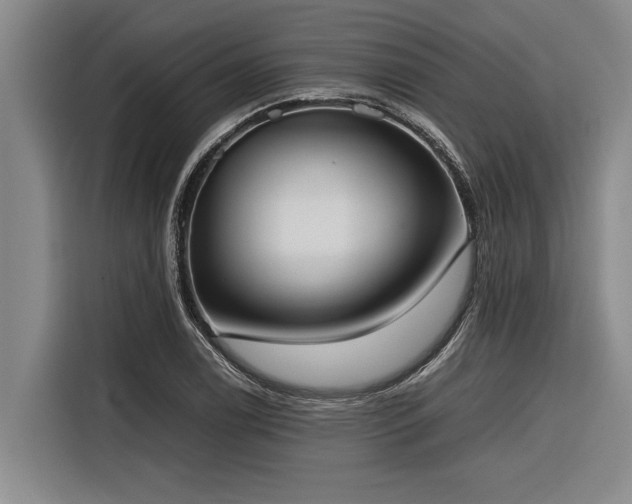 X0000116601122200912111108