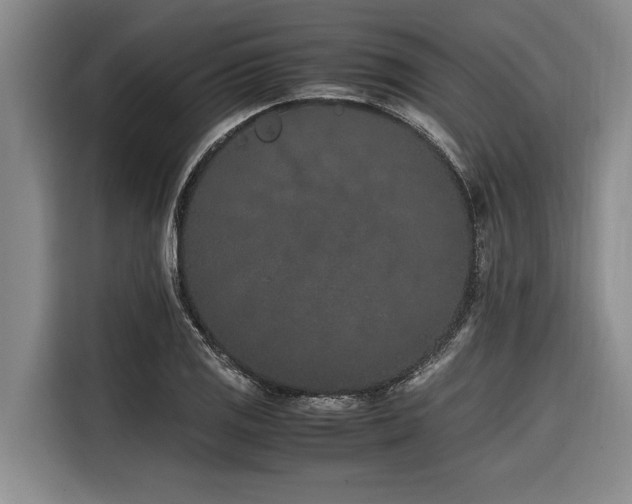 X0000116601125200912111108
