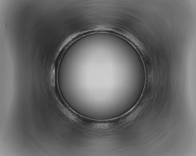 X0000116601126200912111108