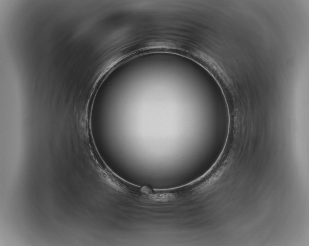 X0000116601129200912111108