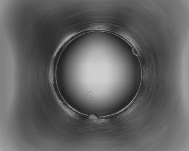 X0000116601131200912111108