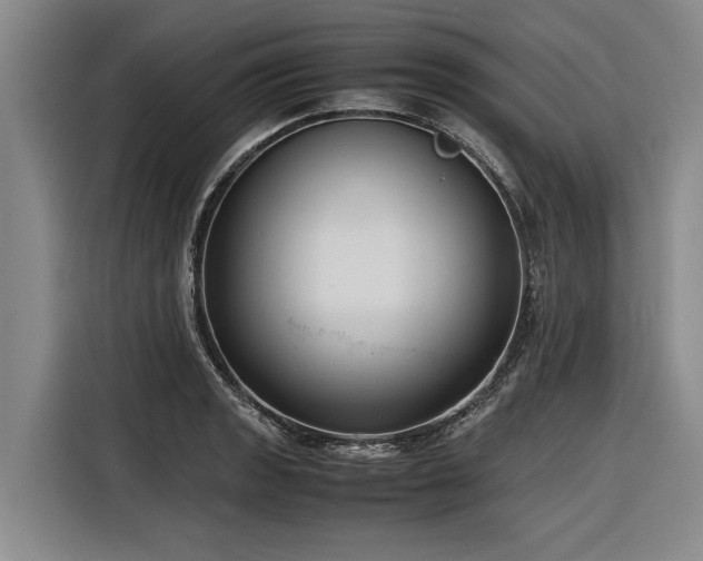 X0000116601133200912111108