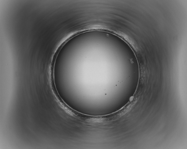 X0000116601134200912111108