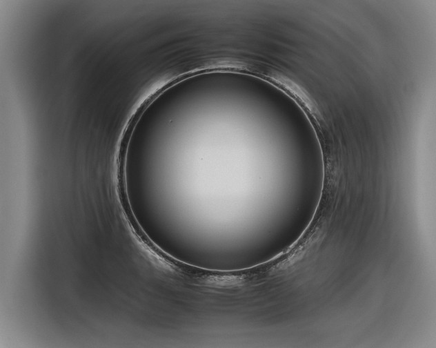 X0000116601135200912111108