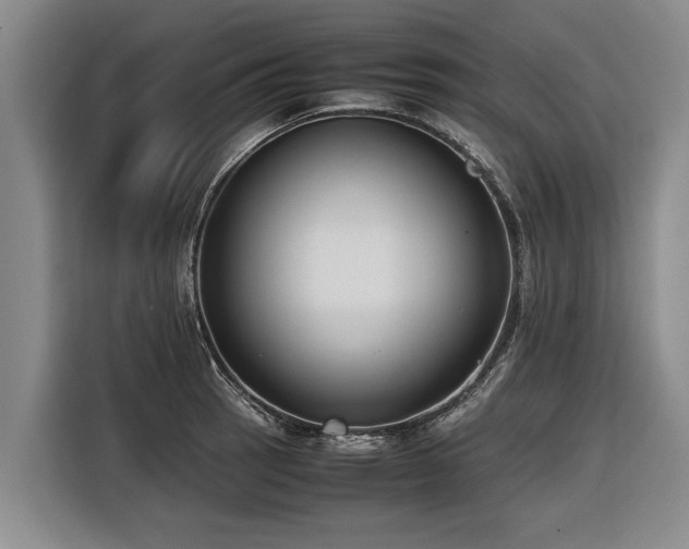 X0000116601137200912111109