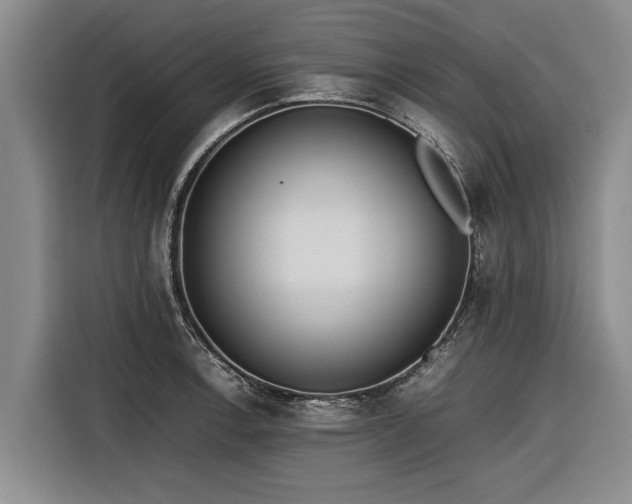 X0000116601138200912111109