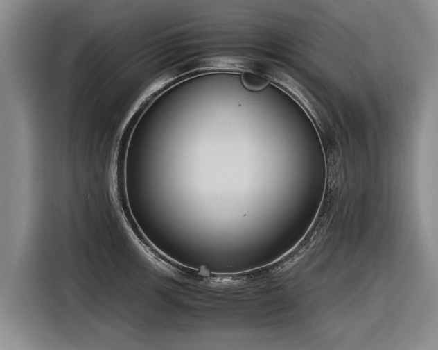 X0000116601139200912111109
