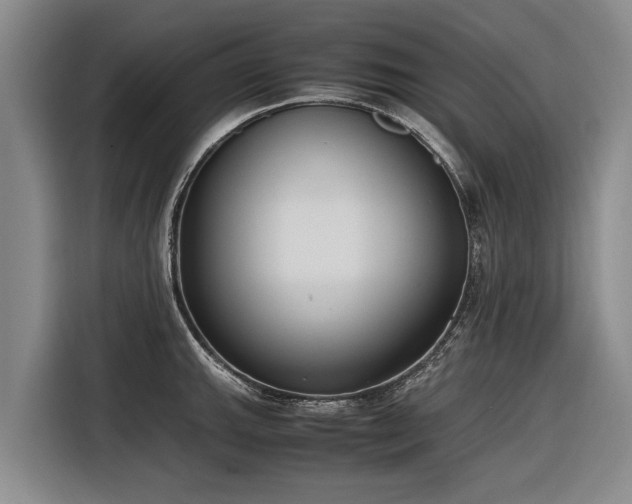 X0000116601143200912111109