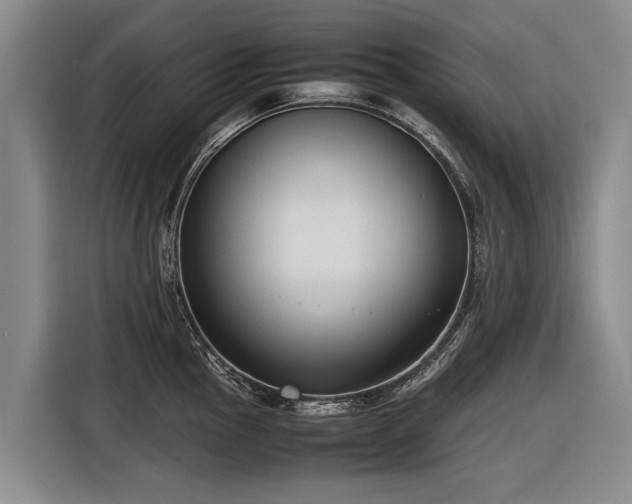 X0000116601145200912111109