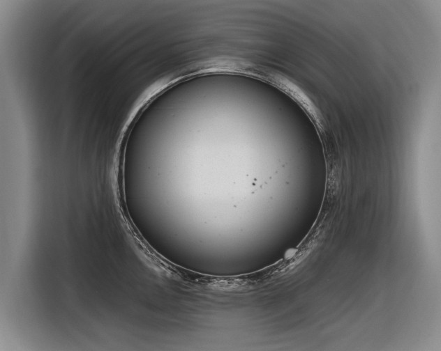X0000116601146200912111109