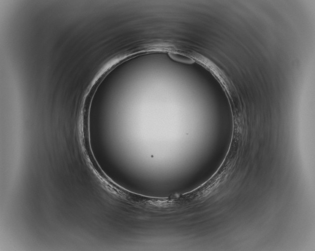 X0000116601147200912111109