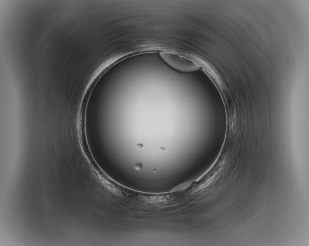 X0000116601149200912111109