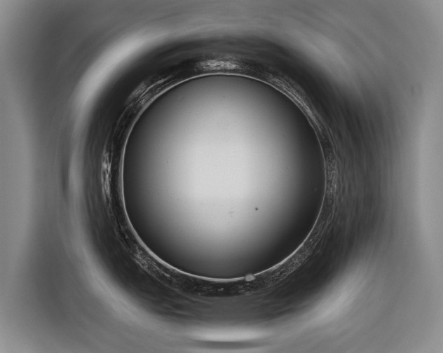 X0000116601151200912111109