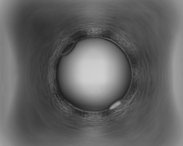 X0000116601153200912111108