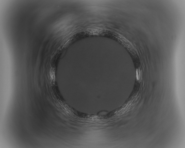 X0000116601155200912111108