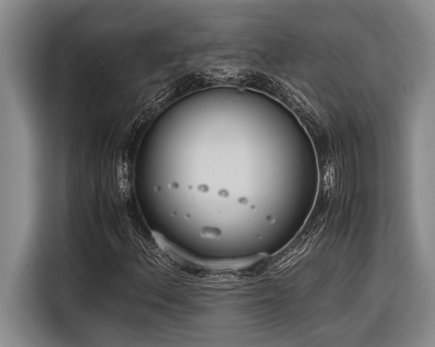 X0000116601156200912111108