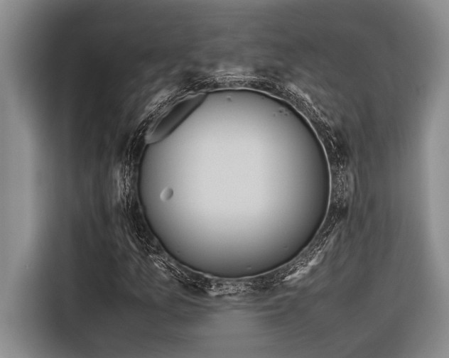 X0000116601157200912111108