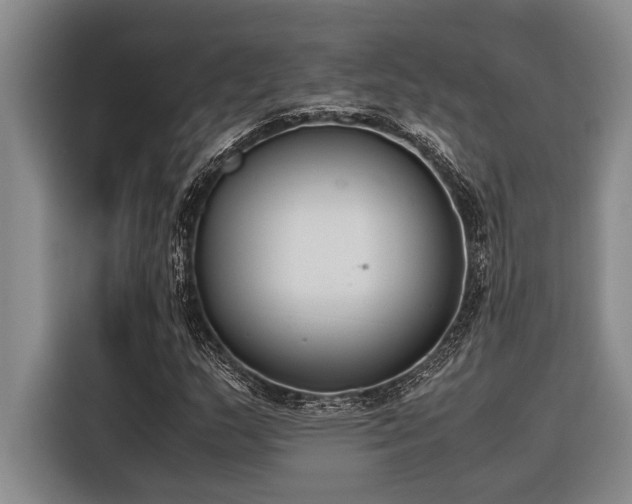 X0000116601159200912111108