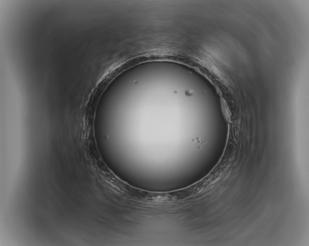 X0000116601160200912111108