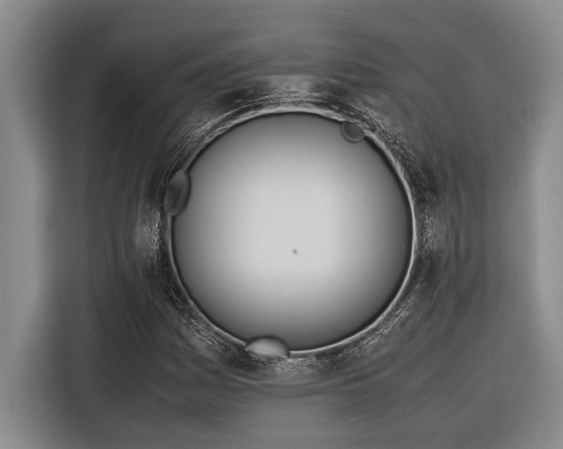 X0000116601161200912111108