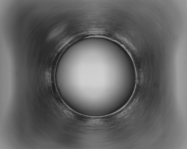 X0000116601162200912111108