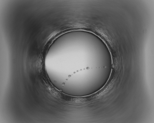 X0000116601163200912111108