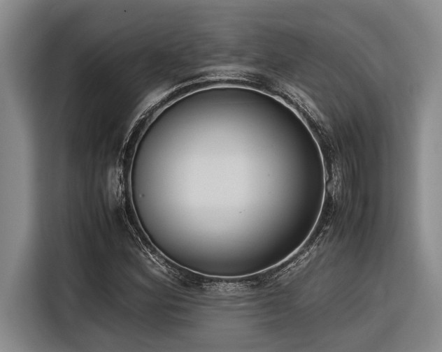 X0000116601164200912111108