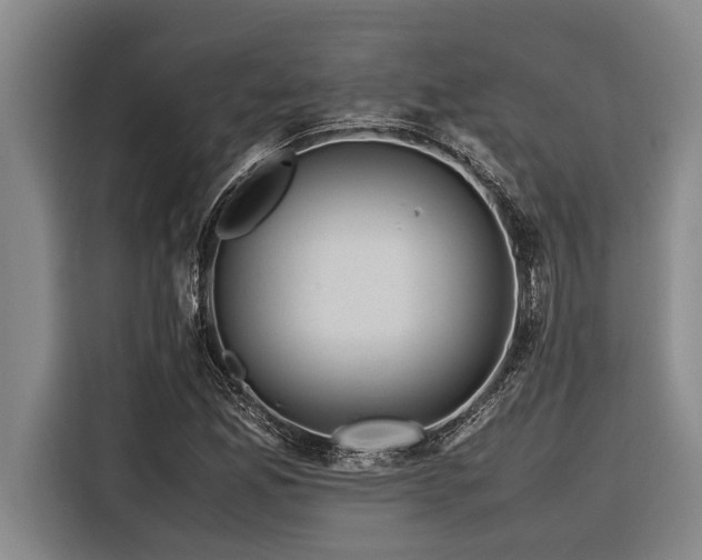 X0000116601165200912111108