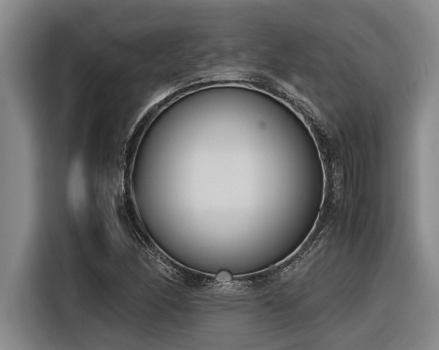 X0000116601166200912111108