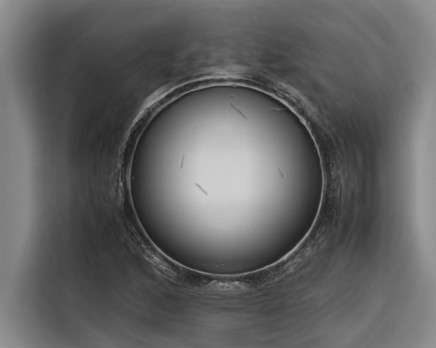 X0000116601168200912111108
