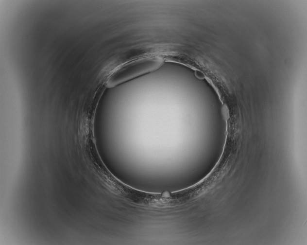 X0000116601169200912111108